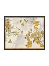 Thumbnail for picture #12