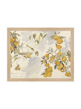 Thumbnail for picture #3