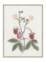 Thumbnail for picture #24