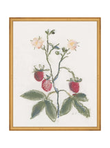 Thumbnail for picture #17