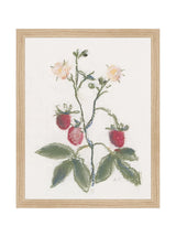 Thumbnail for picture #3