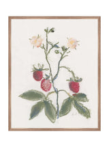 Thumbnail for picture #9