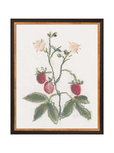 Thumbnail for picture #11