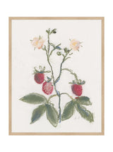 Thumbnail for picture #5