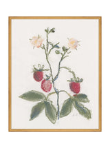 Thumbnail for picture #18