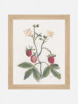 Thumbnail for picture #1