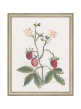 Thumbnail for picture #21