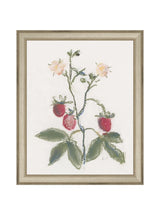 Thumbnail for picture #20