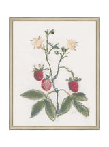 Thumbnail for picture #22