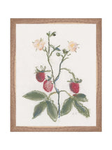 Thumbnail for picture #7