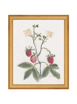 Thumbnail for picture #15