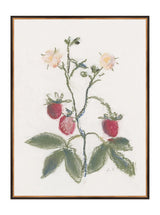 Thumbnail for picture #14