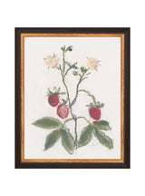 Thumbnail for picture #10