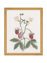 Thumbnail for picture #16