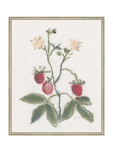 Thumbnail for picture #23