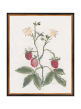 Thumbnail for picture #12