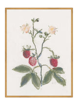 Thumbnail for picture #19