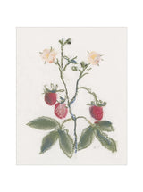 Thumbnail for picture #25