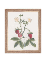 Thumbnail for picture #6