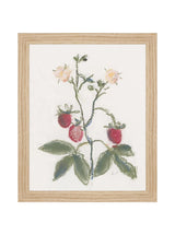 Thumbnail for picture #2