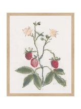 Thumbnail for picture #4