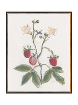 Thumbnail for picture #13