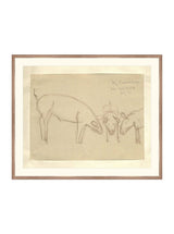 Thumbnail for picture #9