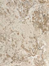 Thumbnail for picture #6