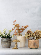 Thumbnail for picture #4