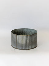 Thumbnail for picture #19