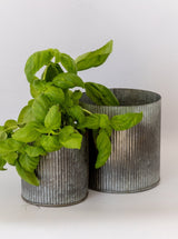 Thumbnail for picture #15