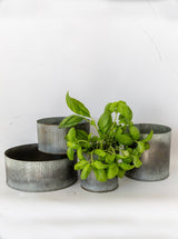 Thumbnail for picture #1