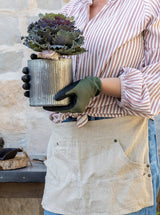 Thumbnail for picture #4