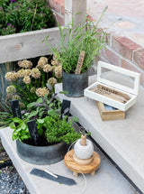 Thumbnail for picture #9