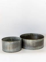 Thumbnail for picture #18