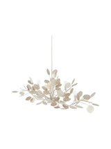 Thumbnail for picture #4