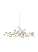 Thumbnail for picture #2