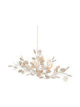 Thumbnail for picture #3