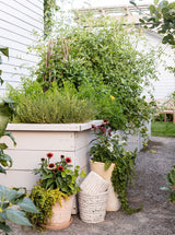 Thumbnail for picture #3