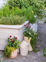 Thumbnail for picture #2