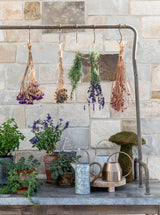 Thumbnail for picture #3