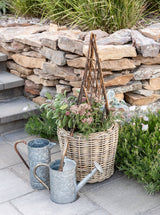 Thumbnail for picture #4