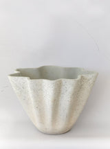 Thumbnail for picture #5