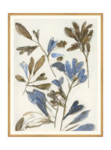 Thumbnail for picture #21