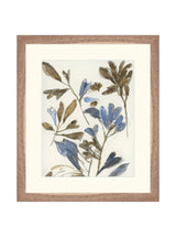 Thumbnail for picture #8