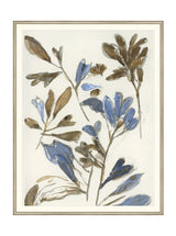 Thumbnail for picture #26