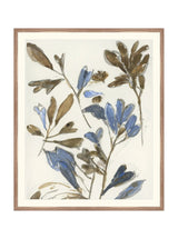 Thumbnail for picture #11