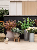 Thumbnail for picture #5