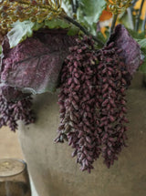 Thumbnail for picture #2