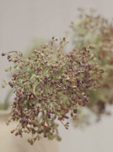 Thumbnail for picture #3